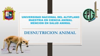UNIVERSIDAD NACIONAL DEL ALTIPLANO
MAESTRIA EN CIENCIA ANIMAL
MENCION EN SALUD ANIMAL
DESNUTRICION ANIMAL
 