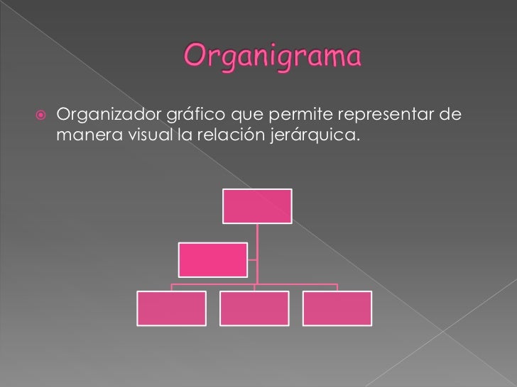 Universidad nacional del chimborazo organizadores graficos
