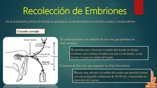 Recolección de Embriones
En la actualidad se utiliza el método no quirúrgico, en donde tenemos el circuito cerrado y circu...