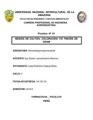 UNIVERSIDAD NACIONAL INTERCULTURAL DE LA
AMAZONIA
FACULTAD DE INGENIERÍA Y CIENCIAS AMBIENTALES
CARRERA PROFESIONAL DE INGENIERIA
AGROINDUSTRIAL
Practica: N° 01
MEDIOS DE CULTIVO, COLORACIÓN Y/O TINCIÓN DE
GRAM
ASIGNATURA: MicrobiologíaAgroindustrial.
DOCENTE: Ing.Darwin Josué Estacio Albornoz
ESTUDIANTE: Jorge RobinsonYagkug Mantu
CICLO: V
FECHA DE ENTREGA: 19 / 02 /18
SEMESTRE: 2018-0
YARINACOCHA _ PUCALLPA
PERÚ
 