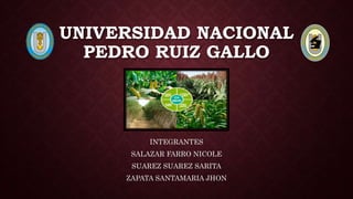 UNIVERSIDAD NACIONAL
PEDRO RUIZ GALLO
INTEGRANTES
SALAZAR FARRO NICOLE
SUAREZ SUAREZ SARITA
ZAPATA SANTAMARIA JHON
 