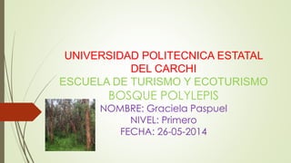 UNIVERSIDAD POLITECNICA ESTATAL
DEL CARCHI
ESCUELA DE TURISMO Y ECOTURISMO
BOSQUE POLYLEPIS
NOMBRE: Graciela Paspuel
NIVEL: Primero
FECHA: 26-05-2014
 