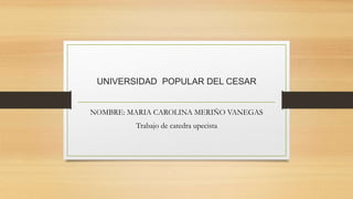 UNIVERSIDAD POPULAR DEL CESAR 
NOMBRE: MARIA CAROLINA MERIÑO VANEGAS 
Trabajo de catedra upecista 
