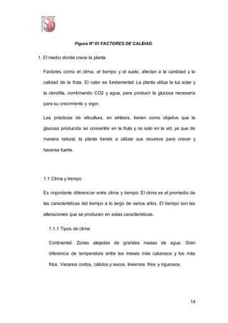 14
Figura Nº 01 FACTORES DE CALIDAD.
1. El medio donde crece la planta
Factores como el clima, el tiempo y el suelo, afectan a la cantidad y la
calidad de la fruta. El calor es fundamental: La planta utiliza la luz solar y
la clorofila, combinando CO2 y agua, para producir la glucosa necesaria
para su crecimiento y vigor.
Las prácticas de viticultura, en síntesis, tienen como objetivo que la
glucosa producida se concentre en la fruta y no solo en la vid, ya que de
manera natural, la planta tiende a utilizar sus recursos para crecer y
hacerse fuerte.
1.1 Clima y tiempo
Es importante diferenciar entre clima y tiempo: El clima es el promedio de
las características del tiempo a lo largo de varios años. El tiempo son las
alteraciones que se producen en estas características.
1.1.1 Tipos de clima
Continental: Zonas alejadas de grandes masas de agua. Gran
diferencia de temperatura entre los meses más calurosos y los más
fríos. Veranos cortos, cálidos y secos. Inviernos fríos y rigurosos.
 