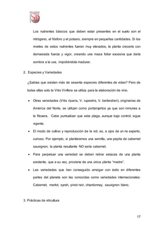 17
Los nutrientes básicos que deben estar presentes en el suelo son el
nitrógeno, el fósforo y el potasio, siempre en pequeñas cantidades. Si los
niveles de estos nutrientes fueran muy elevados, la planta crecería con
demasiada fuerza y vigor, creando una masa foliar excesiva que daría
sombra a la uva, impidiéndola madurar.
2. Especies y Variedades
¿Sabías que existen más de sesenta especies diferentes de vides? Pero de
todas ellas solo la Vitis Vinífera se utiliza para la elaboración de vino.
 Otras variedades (Vitis riparia, V. rupestris, V. berlandieri), originarias de
América del Norte, se utilizan como portainjertos ya que son inmunes a
la filoxera. Cabe puntualizar que esta plaga, aunque bajo control, sigue
vigente.
 El modo de cultivo y reproducción de la vid, es, a ojos de un no experto,
curioso. Por ejemplo, si plantáramos una semilla, una pepita de cabernet
sauvignon, la planta resultante NO sería cabernet.
 Para perpetuar una variedad se deben retirar estacas de una planta
existente, que a su vez, proviene de una única planta “madre”.
 Las variedades que han conseguido arraigar con éxito en diferentes
partes del planeta son las conocidas como variedades internacionales:
Cabernet, merlot, syrah, pinot noir, chardonnay, sauvignon blanc.
3. Prácticas de viticultura
 