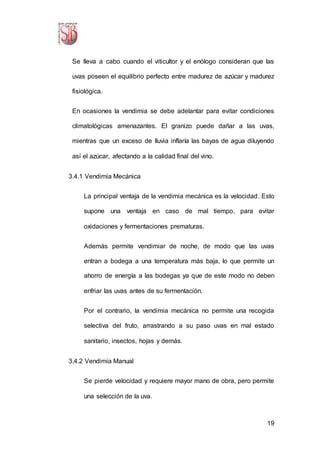 19
Se lleva a cabo cuando el viticultor y el enólogo consideran que las
uvas poseen el equilibrio perfecto entre madurez de azúcar y madurez
fisiológica.
En ocasiones la vendimia se debe adelantar para evitar condiciones
climatológicas amenazantes. El granizo puede dañar a las uvas,
mientras que un exceso de lluvia inflaría las bayas de agua diluyendo
así el azúcar, afectando a la calidad final del vino.
3.4.1 Vendimia Mecánica
La principal ventaja de la vendimia mecánica es la velocidad. Esto
supone una ventaja en caso de mal tiempo, para evitar
oxidaciones y fermentaciones prematuras.
Además permite vendimiar de noche, de modo que las uvas
entran a bodega a una temperatura más baja, lo que permite un
ahorro de energía a las bodegas ya que de este modo no deben
enfriar las uvas antes de su fermentación.
Por el contrario, la vendimia mecánica no permite una recogida
selectiva del fruto, arrastrando a su paso uvas en mal estado
sanitario, insectos, hojas y demás.
3.4.2 Vendimia Manual
Se pierde velocidad y requiere mayor mano de obra, pero permite
una selección de la uva.
 