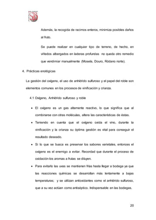 20
Además, la recogida de racimos enteros, minimiza posibles daños
al fruto.
Se puede realizar en cualquier tipo de terreno, de hecho, en
viñedos albergados en laderas profundas no queda otro remedio
que vendimiar manualmente (Mosela, Douro, Ródano norte).
4. Prácticas enológicas
La gestión del oxígeno, el uso de anhídrido sulfuroso y el papel del roble son
elementos comunes en los procesos de vinificación y crianza.
4.1 Oxígeno, Anhídrido sulfuroso y roble
 El oxígeno es un gas altamente reactivo, lo que significa que al
combinarse con otras moléculas, altera las características de éstas.
 Teniendo en cuenta que el oxígeno oxida el vino, durante la
vinificación y la crianza su óptima gestión es vital para conseguir el
resultado deseado.
 Si lo que se busca es preservar los sabores varietales, entonces el
oxígeno es el enemigo a evitar. Recordad que durante el proceso de
oxidación los aromas a frutas se diluyen.
 Para evitarlo las uvas se mantienen frías hasta llegar a bodega ya que
las reacciones químicas se desarrollan más lentamente a bajas
temperaturas; y se utilizan antioxidantes como el anhídrido sulfuroso,
que a su vez actúan como antiséptico. Indispensable en las bodegas.
 