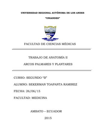 UNIVERSIDAD REGIONAL AUTÓNOMA DE LOS ANDES
“UNIANDES”
FACULTAD DE CIENCIAS MÉDICAS
TRABAJO DE ANATOMÍA II
ARCOS PALMARES Y PLANTARES
CURSO: SEGUNDO “B”
ALUMNO: SEKERMAN TOAPANTA RAMIREZ
FECHA: 26/06/15
FACULTAD: MEDICINA
AMBATO – ECUADOR
2015
 