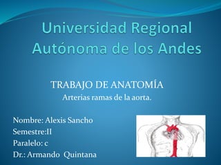 TRABAJO DE ANATOMÍA
Arterias ramas de la aorta.
Nombre: Alexis Sancho
Semestre:II
Paralelo: c
Dr.: Armando Quintana
 