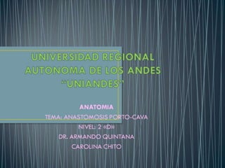 Universidad regional autonoma de los andes anastomosis porto cava