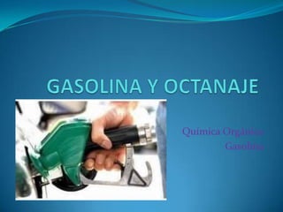 Química Orgánica
Gasolina
 