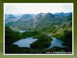 La pava de monte etc.Entre los mamíferos:Los venados, zorro, guatusa, danta, oso de anteojos 