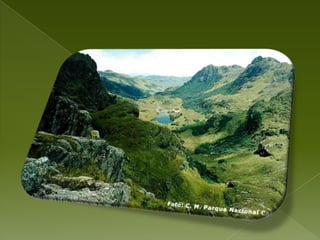 Polla de agua, predicador, quilico, torcaza, tortolaLa riqueza más sobresaliente del Parque Nacional Cajas, constituye sin lugar a dudas sus lagunas cuya especie característica de estas son las truchas.