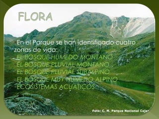 Fue declarado el 6 de junio de 1977DESCRIPCIÓN DE LA ZONAExisten 232 lagunas bien definidas: Lagartococha, Osohuaycu, La ToreadoraMamamag ó Taitachungo, Quinoascocha, Sunincocha, Cascarillas, Ventanas y Tinguishcocha.También ofrece portadas, miradoresEn el area no existe una marcada regularidad del clima; se dan frecuentes heladas y hay presencia permanente de lloviznas y neblinaNacen en el Cajas ríos como: el Tomebamba, el Mazán, el Yanuncay y el Migüir y abastecen de agua potable a la ciudad de Cuenca; son, a la vez, principales a portadores del Complejo Hidroeléctrico Paute.