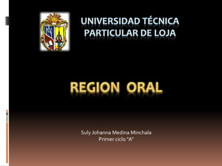 Universidad técnica particular de Loja REGION  ORAL Suly Johanna Medina Minchala Primer ciclo “A” 