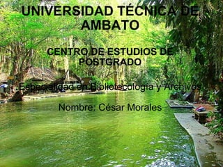 UNIVERSIDAD TÉCNICA DE AMBATO CENTRO DE ESTUDIOS DE POSTGRADO Especialidad en Bibliotecología y Archivos Nombre: César Morales 