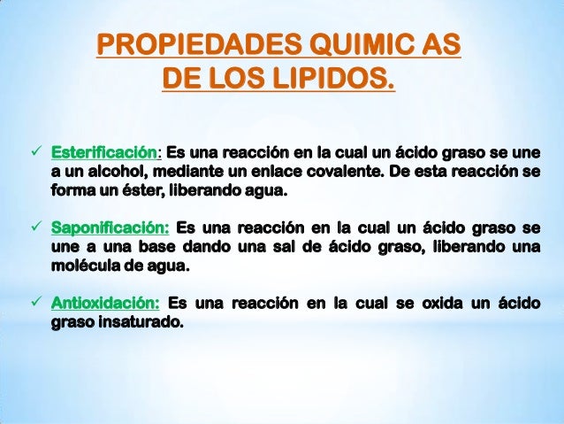 METABOLISMO DE LOS LIPIDOS