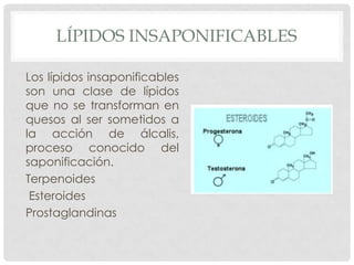 LÍPIDOS INSAPONIFICABLES
Los lípidos insaponificables
son una clase de lípidos
que no se transforman en
quesos al ser sometidos a
la acción de álcalis,
proceso conocido del
saponificación.
Terpenoides
Esteroides
Prostaglandinas

 