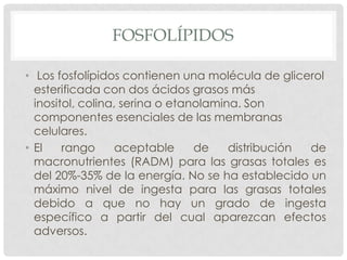 FOSFOLÍPIDOS
• Los fosfolípidos contienen una molécula de glicerol
esterificada con dos ácidos grasos más
inositol, colina, serina o etanolamina. Son
componentes esenciales de las membranas
celulares.
• El
rango
aceptable
de
distribución
de
macronutrientes (RADM) para las grasas totales es
del 20%-35% de la energía. No se ha establecido un
máximo nivel de ingesta para las grasas totales
debido a que no hay un grado de ingesta
específico a partir del cual aparezcan efectos
adversos.

 