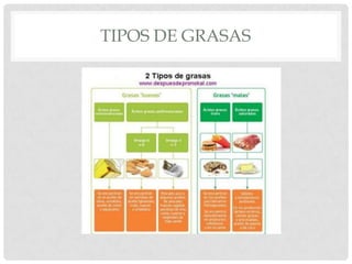 TIPOS DE GRASAS

 