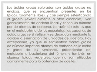 Los ácidos grasos saturados son ácidos grasos no
enoicos, que se encuentran presentes en los
lípidos, raramente libres, y casi siempre esterificando
al glicerol (eventualmente a otros alcoholes). Son
generalmente de cadena lineal y tienen un número
par de átomos de carbono. La razón de ésto es que
en el metabolismo de los eucariotas, las cadenas de
ácido graso se sintetizan y se degradan mediante la
adición o eliminación de unidades de acetato. Hay
excepciones, ya que se encuentran ácidos grasos
de número impar de átomos de carbono en la leche
y grasa de los rumiantes, procedentes del
metabolismo bacteriano del rúmen, y también en
algunos lípidos vegetales, que no son utilizados
comúnmente para la obtención de aceites.

 