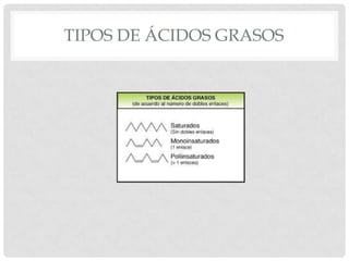 TIPOS DE ÁCIDOS GRASOS

 
