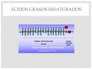ÁCIDOS GRASOS INSATURADOS

 
