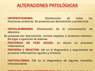ALTERACIONES PATOLÓGICAS
 HIPOPROTEINEMIA: Disminución de todas las
fracciones proteicas. Se presenta por desnutrición o proteinuria.
 HIPOALBUMINEMIA. Disminución de la concentración de
albumina.
Se presenta por desnutrición, cirrosis hepática o síndrome nefrotico.
Da lugar a aparición de edemas.
 PROTEÍNAS DE FASE AGUDA: se elevan en procesos
inflamatorios
 PROTEÍNA C REACTIVA: útil en el diagnostico y seguimiento de
procesos inflamatorios agudos y crónicos.
 HAPTOGLOBINA: Útil en el diagnostico de algunas hemolisis
intravasculares.
 