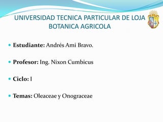 UNIVERSIDAD TECNICA PARTICULAR DE LOJA
            BOTANICA AGRICOLA

 Estudiante: Andrés Ami Bravo.


 Profesor: Ing. Nixon Cumbicus


 Ciclo: I


 Temas: Oleaceae y Onograceae
 