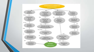 Universidad tecnologica  UTE 