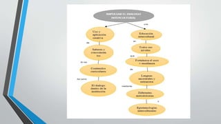 Universidad tecnologica  UTE 