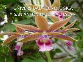 UNIVERSIDAD TECNOLOGICA SAN ANTONIO DE MACHALA  Srta.: Alexandra Rosado Montiel  PRESENTA EL SIGUIENTE INFORME 