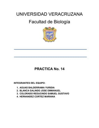 UNIVERSIDAD VERACRUZANA
             Facultad de Biología




                PRACTICA No. 14


INTEGRANTES DEL EQUIPO:

  1.   AGUAS BALDERRAMA YURIDIA
  2.   BLANCA GALINDO JOSE EMMANUEL
  3.   COLORADO REDUCINDO SAMUEL GUSTAVO
  4.   HERNANDEZ CORTEZ MARIANA
 