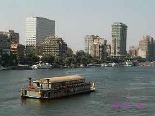 Université Du Caire