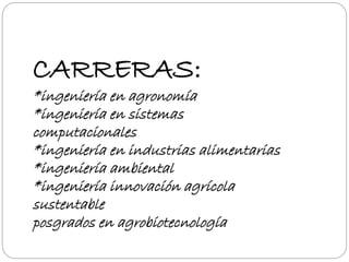 CARRERAS: 
*ingeniería en agronomía 
*ingeniería en sistemas 
computacionales 
*ingeniería en industrias alimentarias 
*ingeniería ambiental 
*ingeniería innovación agrícola 
sustentable 
posgrados en agrobiotecnología 
 