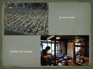 Atelier de tissage
le ver à soie
 