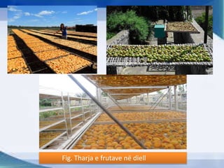 Fig. Tharja e frutave në diell
 