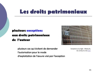 Les droits patrimoniaux


plusieurs exceptions
aux droits patrimoniaux
de l’auteur

   plusieurs cas qui évitent de demander            Exception à la règle. Bladsurb,
                                                            CC 2.0 by-nc-nd Flickr
   l’autorisation pour le mode
   d’exploitation de l’œuvre visé par l’exception




                                                                                45
 