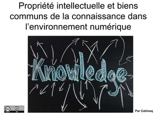 Propriété intellectuelle et biens
communs de la connaissance dans
l’environnement numérique
Par Calimaq
 