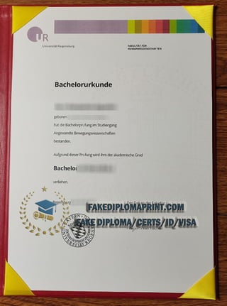 Universität Regensburg Urkunde.pdf