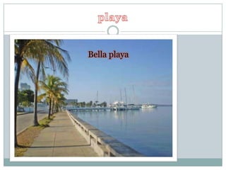 playaBella playa