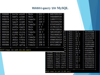 ทดลอง query บน MySQL
 
