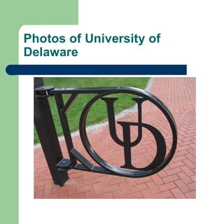 Photos of University of Delaware 