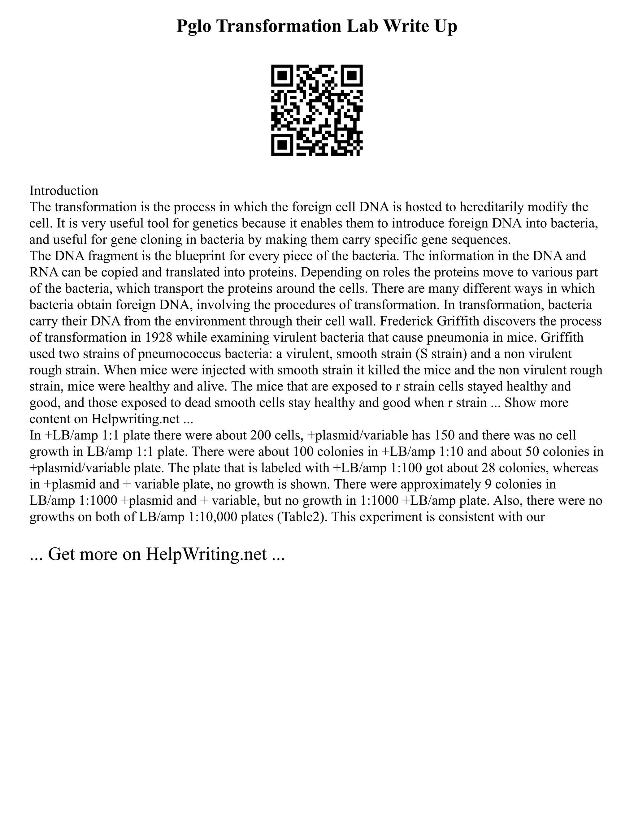 Pglo Transformation Lab Write Up
Introduction
The transformation is the process in which the foreign cell DNA is hosted to hereditarily modify the
cell. It is very useful tool for genetics because it enables them to introduce foreign DNA into bacteria,
and useful for gene cloning in bacteria by making them carry specific gene sequences.
The DNA fragment is the blueprint for every piece of the bacteria. The information in the DNA and
RNA can be copied and translated into proteins. Depending on roles the proteins move to various part
of the bacteria, which transport the proteins around the cells. There are many different ways in which
bacteria obtain foreign DNA, involving the procedures of transformation. In transformation, bacteria
carry their DNA from the environment through their cell wall. Frederick Griffith discovers the process
of transformation in 1928 while examining virulent bacteria that cause pneumonia in mice. Griffith
used two strains of pneumococcus bacteria: a virulent, smooth strain (S strain) and a non virulent
rough strain. When mice were injected with smooth strain it killed the mice and the non virulent rough
strain, mice were healthy and alive. The mice that are exposed to r strain cells stayed healthy and
good, and those exposed to dead smooth cells stay healthy and good when r strain ... Show more
content on Helpwriting.net ...
In +LB/amp 1:1 plate there were about 200 cells, +plasmid/variable has 150 and there was no cell
growth in LB/amp 1:1 plate. There were about 100 colonies in +LB/amp 1:10 and about 50 colonies in
+plasmid/variable plate. The plate that is labeled with +LB/amp 1:100 got about 28 colonies, whereas
in +plasmid and + variable plate, no growth is shown. There were approximately 9 colonies in
LB/amp 1:1000 +plasmid and + variable, but no growth in 1:1000 +LB/amp plate. Also, there were no
growths on both of LB/amp 1:10,000 plates (Table2). This experiment is consistent with our
... Get more on HelpWriting.net ...
 