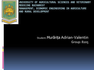 UNIVERSITY OF AGRICULTURAL SCIENCES AND VETERINARY
MEDICINE BUCHAREST
MANAGEMENT, ECONOMIC ENGINEERING IN AGRICULTURE
AND RURAL DEVELOPMENT
Student: Murărița Adrian-Valentin
Group: 8205
 