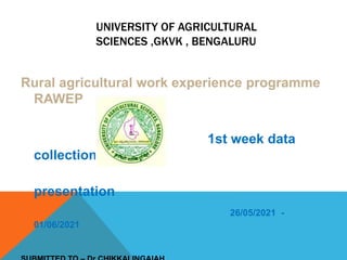 UNIVERSITY OF AGRICULTURAL
SCIENCES ,GKVK , BENGALURU
Rural agricultural work experience programme
RAWEP
1st week data
collection
presentation
26/05/2021 -
01/06/2021
 