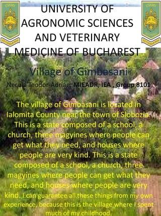 UNIVERSITY OF
AGRONOMIC SCIENCES
AND VETERINARY
MEDICINE OF BUCHAREST
Village of Gimbasani
Necula Teodor-Adrian, MIEADR, IEA , Group 8101
The village of Gimbasani is located in
Ialomita County near the town of Slobozia.
This is a state composed of a school, a
church, three magyines where people can
get what they need, and houses where
people are very kind. This is a state
composed of a school, a church, three
magyines where people can get what they
need, and houses where people are very
kind. I can guarantee all these things from my own
experience, because this is the village where I spent
much of my childhood.
 
