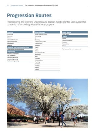 University of alabama at birmingham brochure | PDF