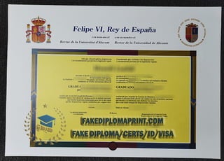 University of Alicante degree.pdf
