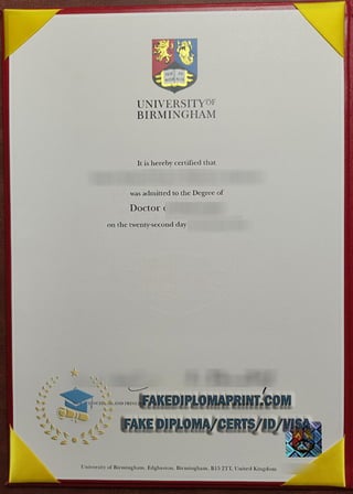 University of Birmingham degree.pdf